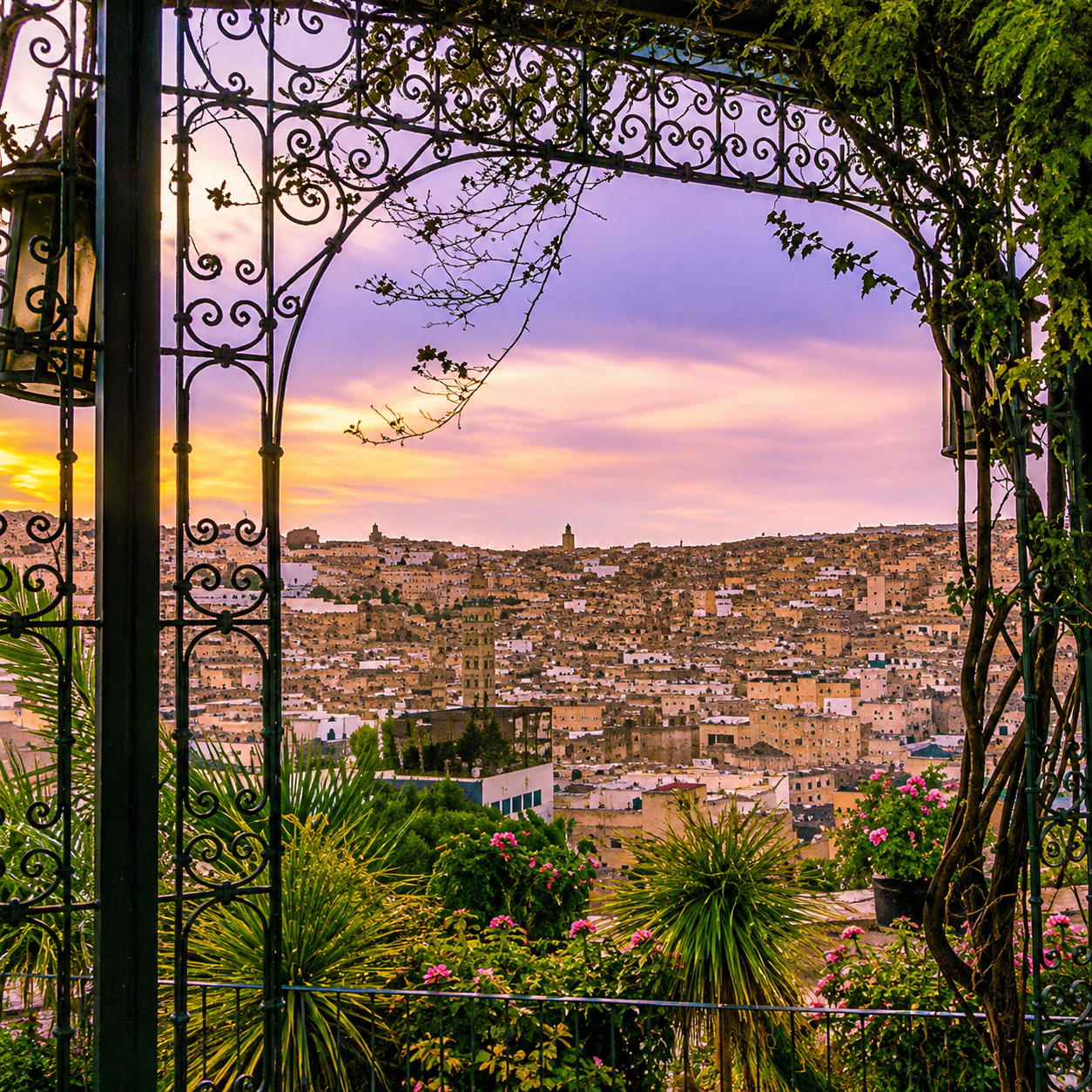 Desert Tours From Fes